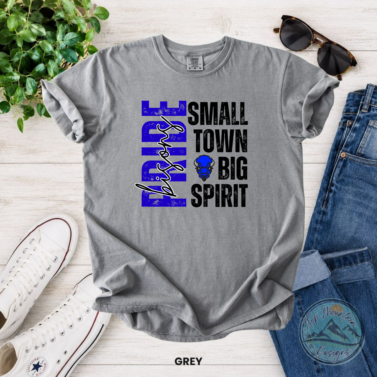 Small Town Big Spirit Bisons Pride