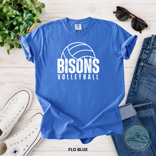 Bedford Bisons Volleyball